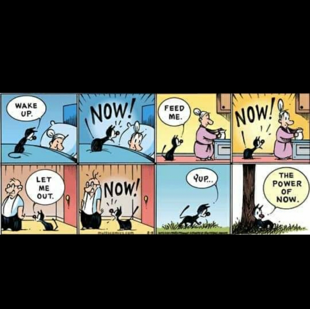 The Power of Now